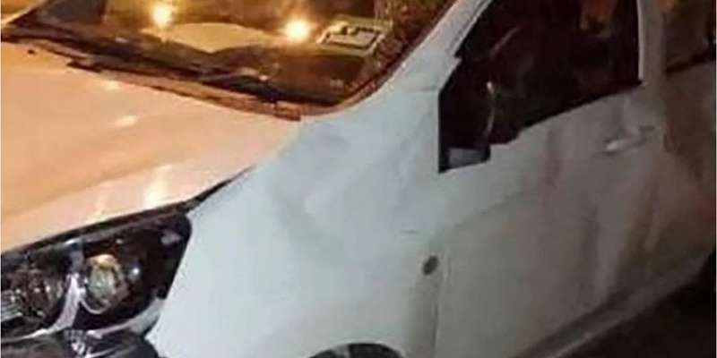 Рішуча помста. Стадо диких слонів у&nbsp;Малайзії розтоптало авто, яке врізалося в&nbsp;слоненя