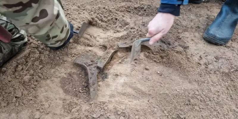 Вдало прогулявся. Польський археолог-аматор знайшов у лісі п&rsquo;ять рідкісних сокир бронзового століття