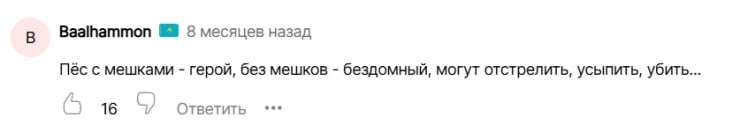 Помогал в паводки: пса-героя по кличке Пшөн застрелили в Атырауской области
